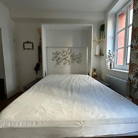 Casa Nostra - T1 - Terrasse Privative Daire Toulouse Dış mekan fotoğraf