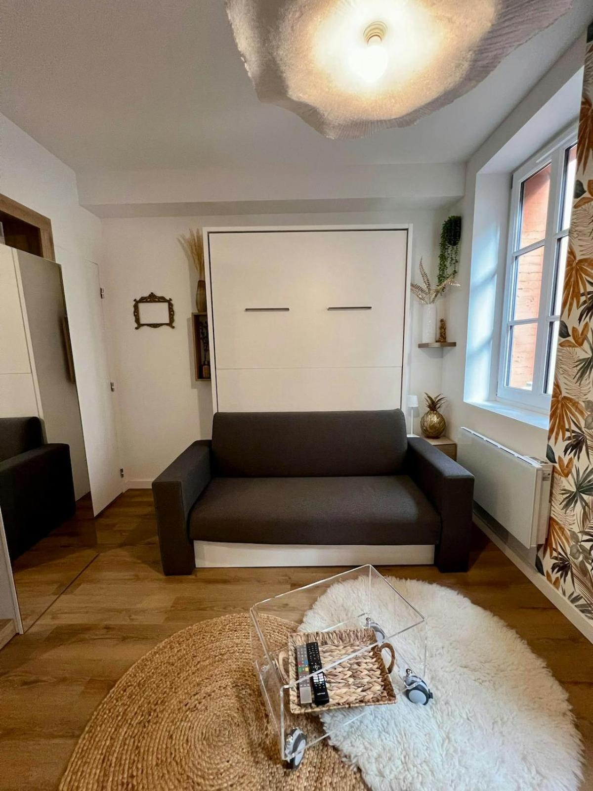 Casa Nostra - T1 - Terrasse Privative Daire Toulouse Dış mekan fotoğraf