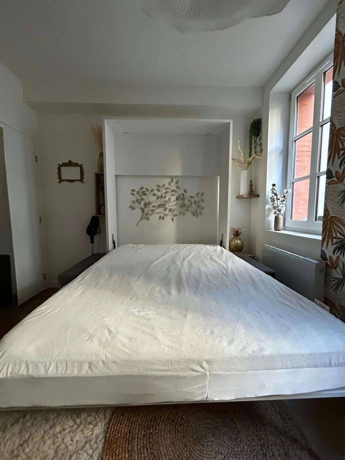 Casa Nostra - T1 - Terrasse Privative Daire Toulouse Dış mekan fotoğraf